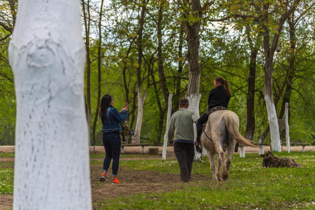 B&B Etno Village Suncana Reka Banja Koviljača Exteriér fotografie